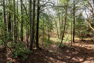 3866 Placer Rd, Wolf Creek, OR 97497 - Photo 31
