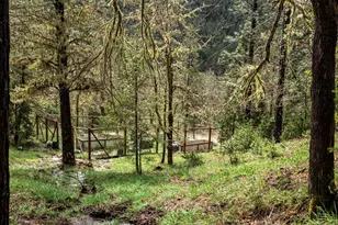 3866 Placer Rd, Wolf Creek, OR 97497 - Photo 35