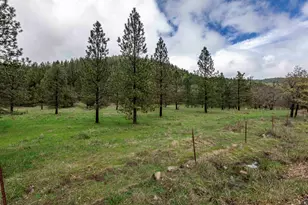 3866 Placer Rd, Wolf Creek, OR 97497 - Photo 37