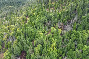 3866 Placer Rd, Wolf Creek, OR 97497 - Photo 53