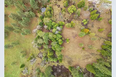 3866 Placer Road, Wolf Creek, OR 97497 - Photo 51