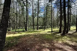 42256 Hwy 62, Prospect, OR 97536 - Photo 27