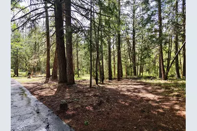 42256 Highway 62, Prospect, OR 97536 - Photo 41