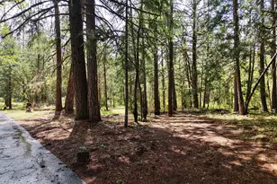 42256 Hwy 62, Prospect, OR 97536 - Photo 41