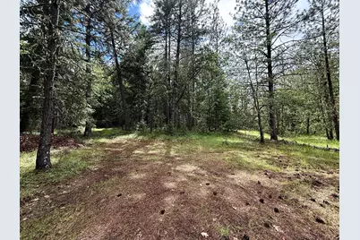42256 Highway 62, Prospect, OR 97536 - Photo 29
