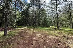 42256 Hwy 62, Prospect, OR 97536 - Photo 29