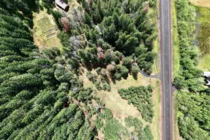 42256 Hwy 62, Prospect, OR 97536 - Photo 43