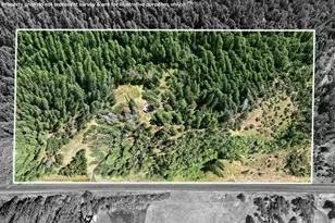 42256 Hwy 62, Prospect, OR 97536 - Photo 3