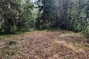 42256 Hwy 62, Prospect, OR 97536 - Photo 31