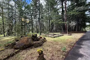 42256 Hwy 62, Prospect, OR 97536 - Photo 5