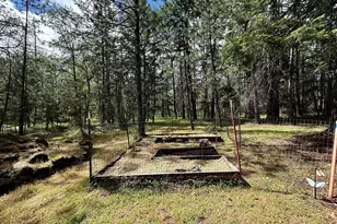 42256 Hwy 62, Prospect, OR 97536 - Photo 27