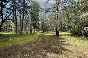 42256 Hwy 62, Prospect, OR 97536 - Photo 29