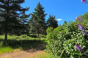 14474 Williams Hwy, Williams, OR 97544 - Photo 13