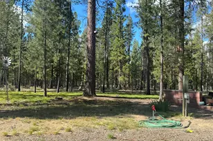 51829 Pine Loop Dr, La Pine, OR 97739 - Photo 23