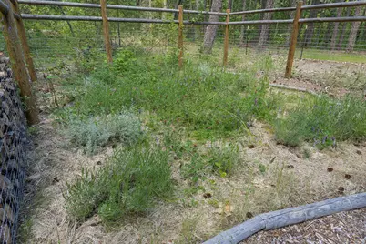 401 China Creek Road, Williams, OR 97544 - Photo 19