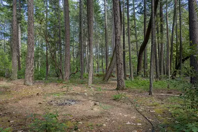 401 China Creek Road, Williams, OR 97544 - Photo 41