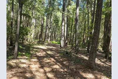 401 China Creek Road, Williams, OR 97544 - Photo 33