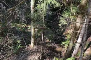0 French Peak Rd, Cave Junction, OR 97523 - Photo 1