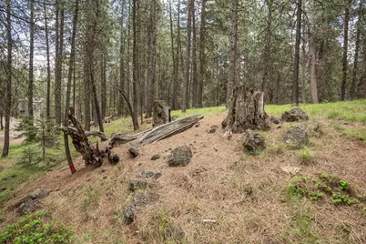 [Address not provided], Black Butte Ranch, OR 97759 - Photo 15
