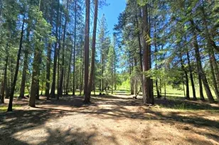 836 Ulrich Rd, Prospect, OR 97536 - Photo 41