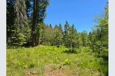 836 Ulrich Road, Prospect, OR 97536 - Photo 5