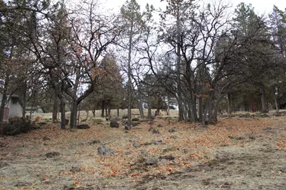 267 Coopers Hawk #267, Klamath Falls, OR 97601 - Photo 3