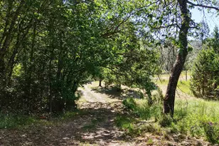 1135 E Fork Rd, Williams, OR 97544 - Photo 51