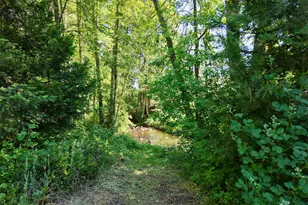 1135 E Fork Rd, Williams, OR 97544 - Photo 27