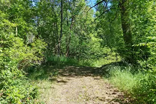 1135 E Fork Rd, Williams, OR 97544 - Photo 57
