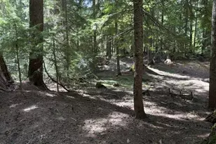 22745 Hwy 58, Crescent Lake, OR 97733 - Photo 31