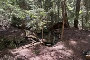 22745 Hwy 58, Crescent Lake, OR 97733 - Photo 29