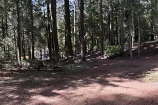 22745 Hwy 58, Crescent Lake, OR 97733 - Photo 37