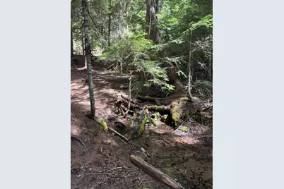 22745 Highway 58, Crescent Lake, OR 97733 - Photo 33