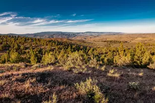20357 SE Wapato Rd, Prineville, OR 97754 - Photo 29