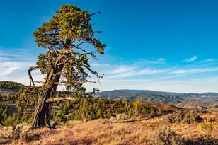 20357 SE Wapato Rd, Prineville, OR 97754 - Photo 27