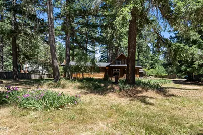 140 Bonanza Drive, Selma, OR 97538 - Photo 37