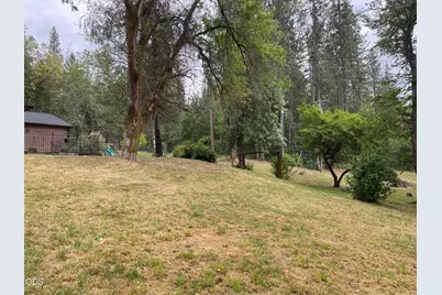 782 Covered Bridge Road, Rogue River, OR 97537 - Photo 7