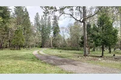 575 Kirkham Road, Cave Junction, OR 97523 - Photo 5