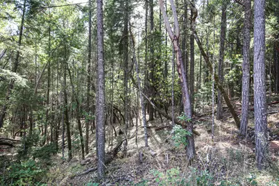 Quartz Creek Road #R301574, Merlin, OR 97532 - Photo 21
