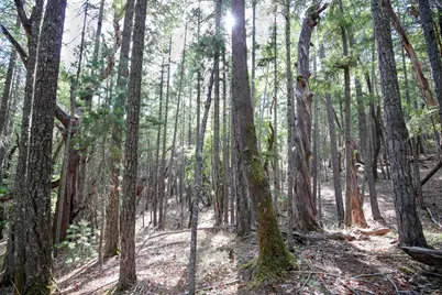 Quartz Creek Road #R301574, Merlin, OR 97532 - Photo 15