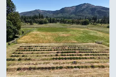 335 Sheraton Drive, Williams, OR 97544 - Photo 3