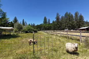 335 Sheraton Dr, Williams, OR 97544 - Photo 13