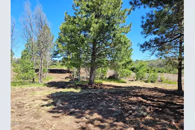 0 Forest View Drive #7800, Chiloquin, OR 97624 - Photo 7