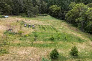 4046 Little Applegate Rd, Jacksonville, OR 97530 - Photo 53