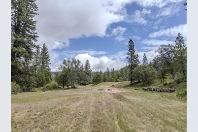 1969 Colestin Road, Ashland, OR 97520 - Photo 9