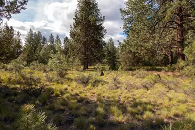 19787 Foster Lane, Bend, OR 97702 - Photo 29
