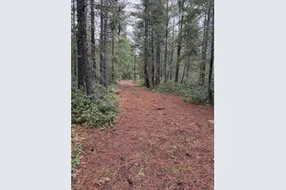 Lone Mountain Road #1300, O'Brien, OR 97534 - Photo 5