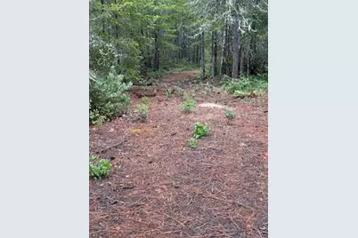 Lone Mountain Road #1300, O'Brien, OR 97534 - Photo 3