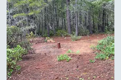 Lone Mountain Road #1300, O'Brien, OR 97534 - Photo 11