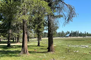 151772 Beal Rd, La Pine, OR 97739 - Photo 5